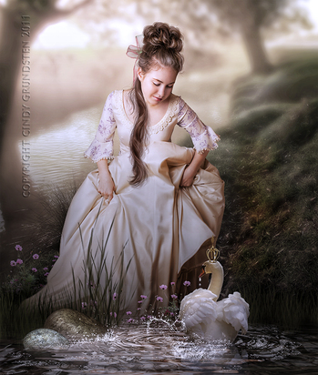 Magical Swan